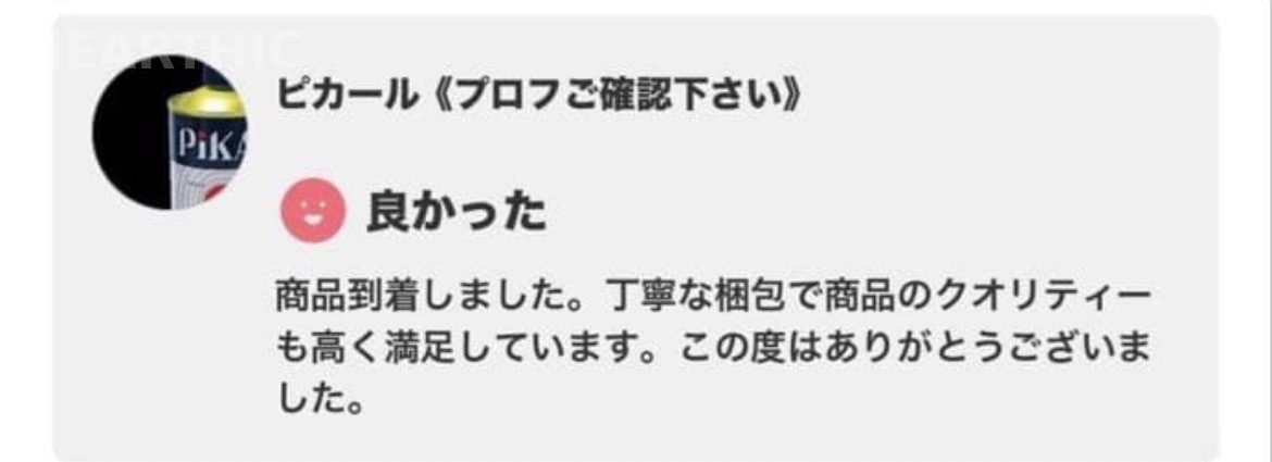 購入者レビュー2